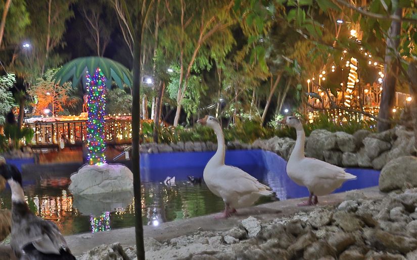 parque